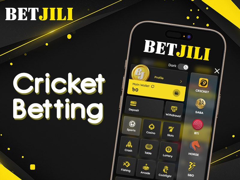 Guide to placing cricket bets on Betjili via website or app